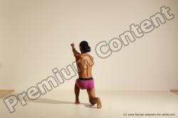 Elmer - Traditional Korean Art